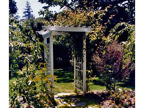 Arbor This defines a passage between two very different parts of the yard.